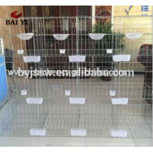 Pigeon Cage Racing y Pigeon Feeder, bebedores